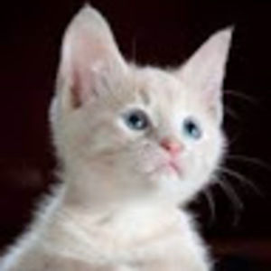 Meet your Posher, Cloudy